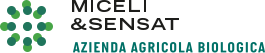 Miceli and Sensat
